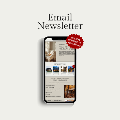 Email Newsletter (monthly service)